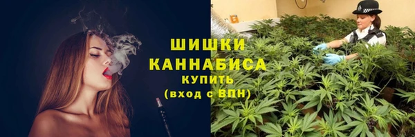дмт Надым