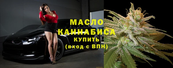 дмт Надым