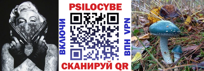 omg tor  Неман  Галлюциногенные грибы Psilocybe 